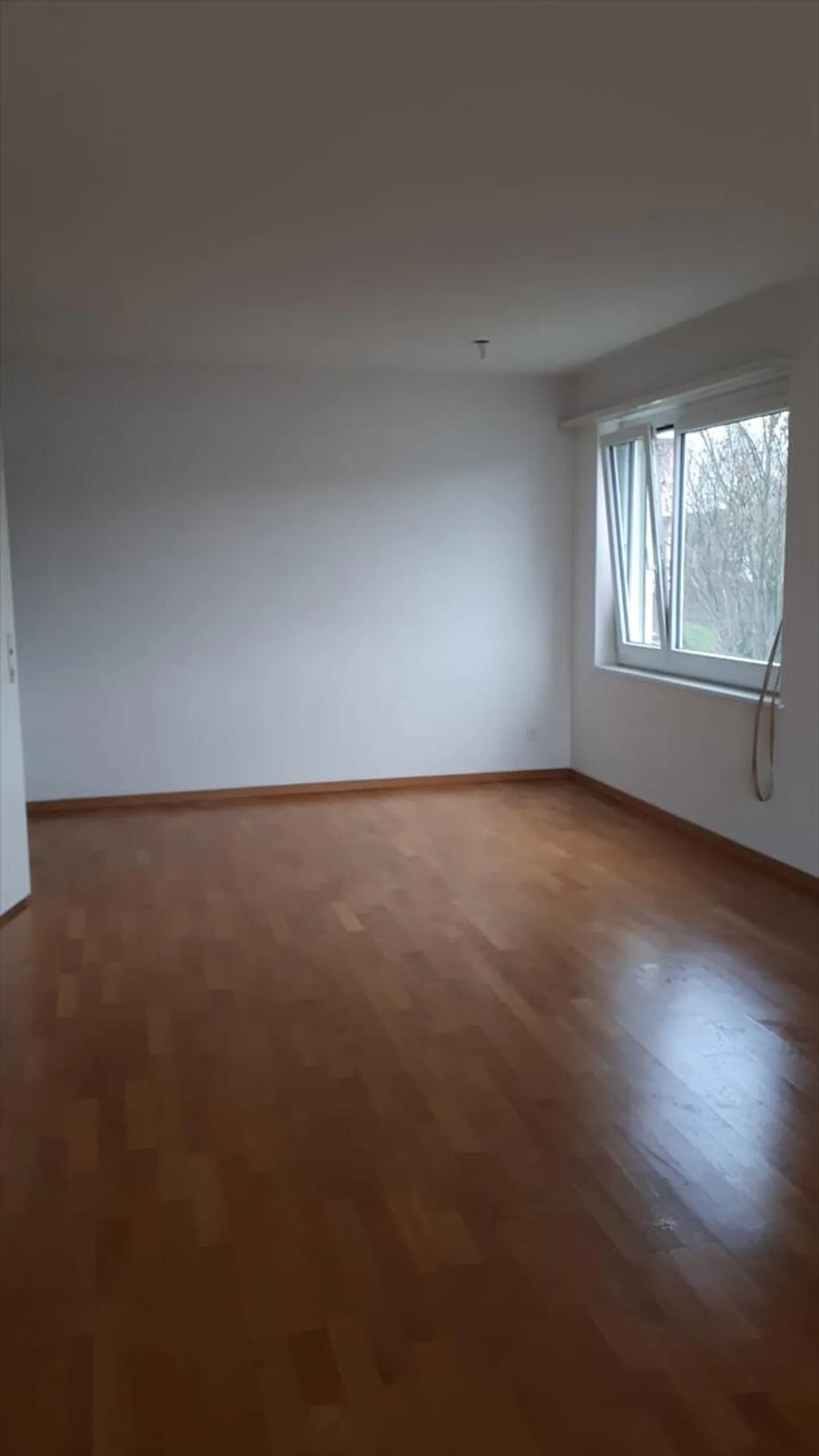 Appartamento in affitto - Foto 3 di 5