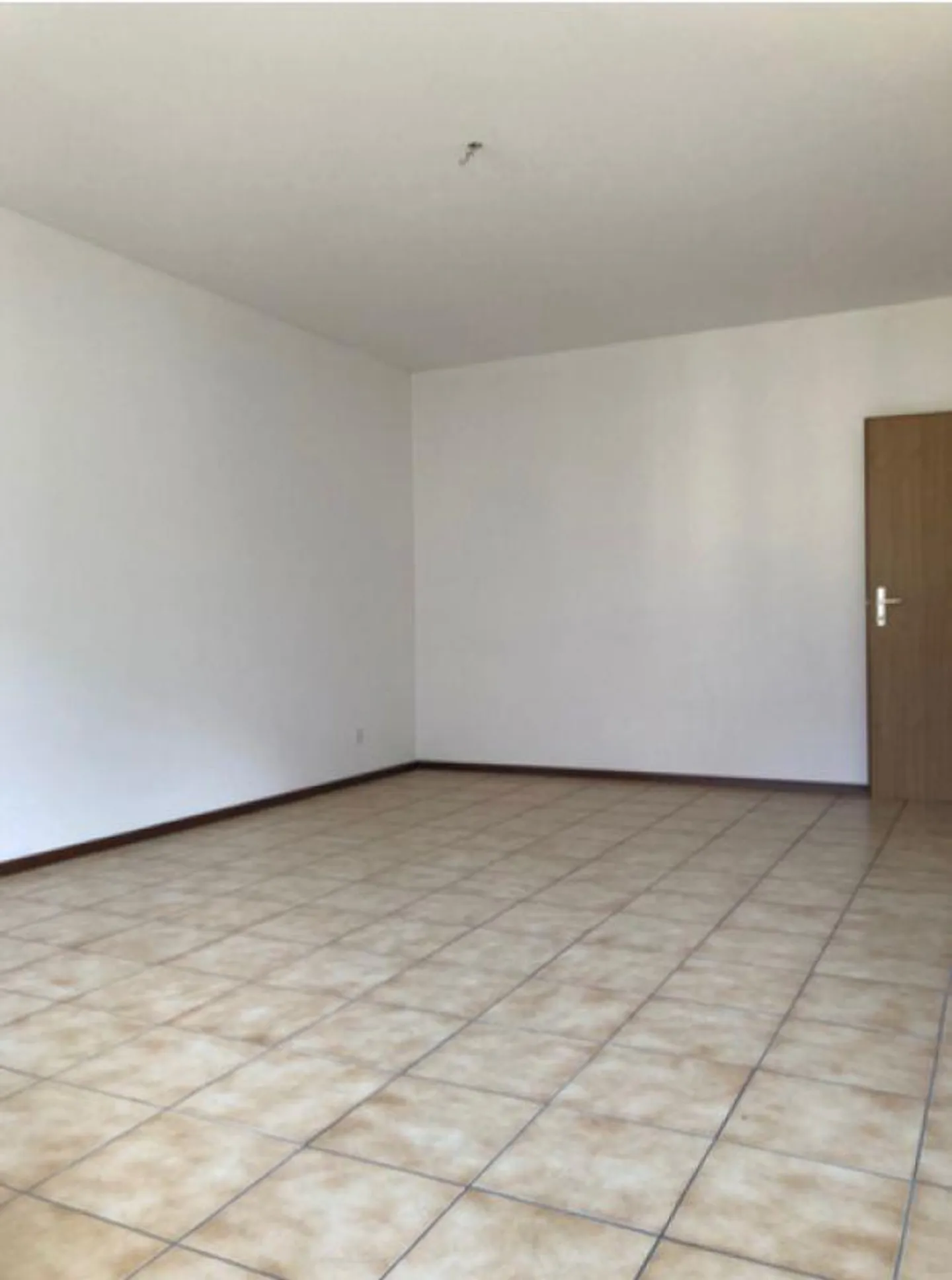 BIASCA | 3.5 ROOMS IN THE GREEN - Photo 4 of 8