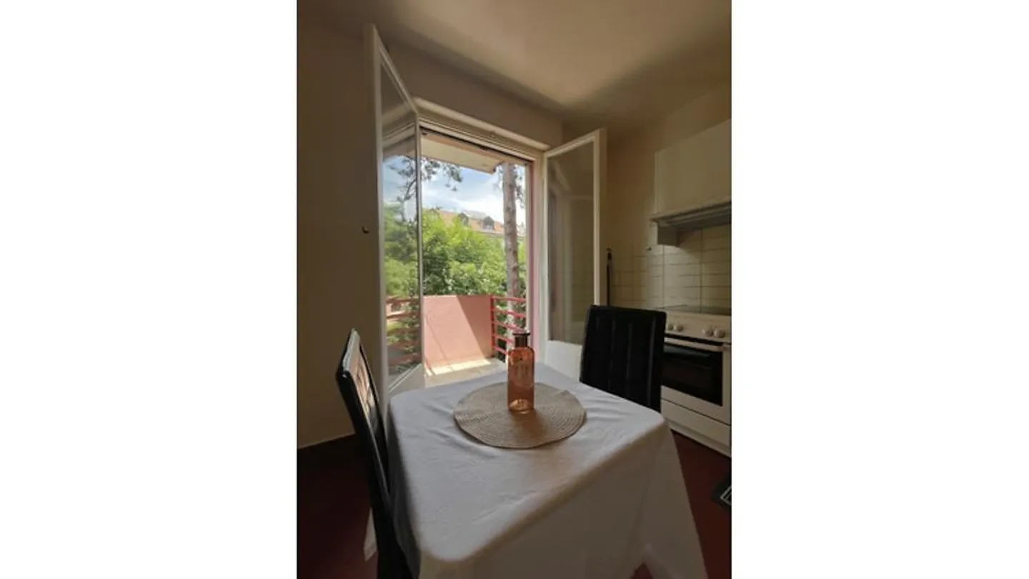 2-ROOM APARTMENT IN GENEVA - PLAINPALAIS/ACACIAS, FURNISHED, DURATION ... - Photo 2 of 8