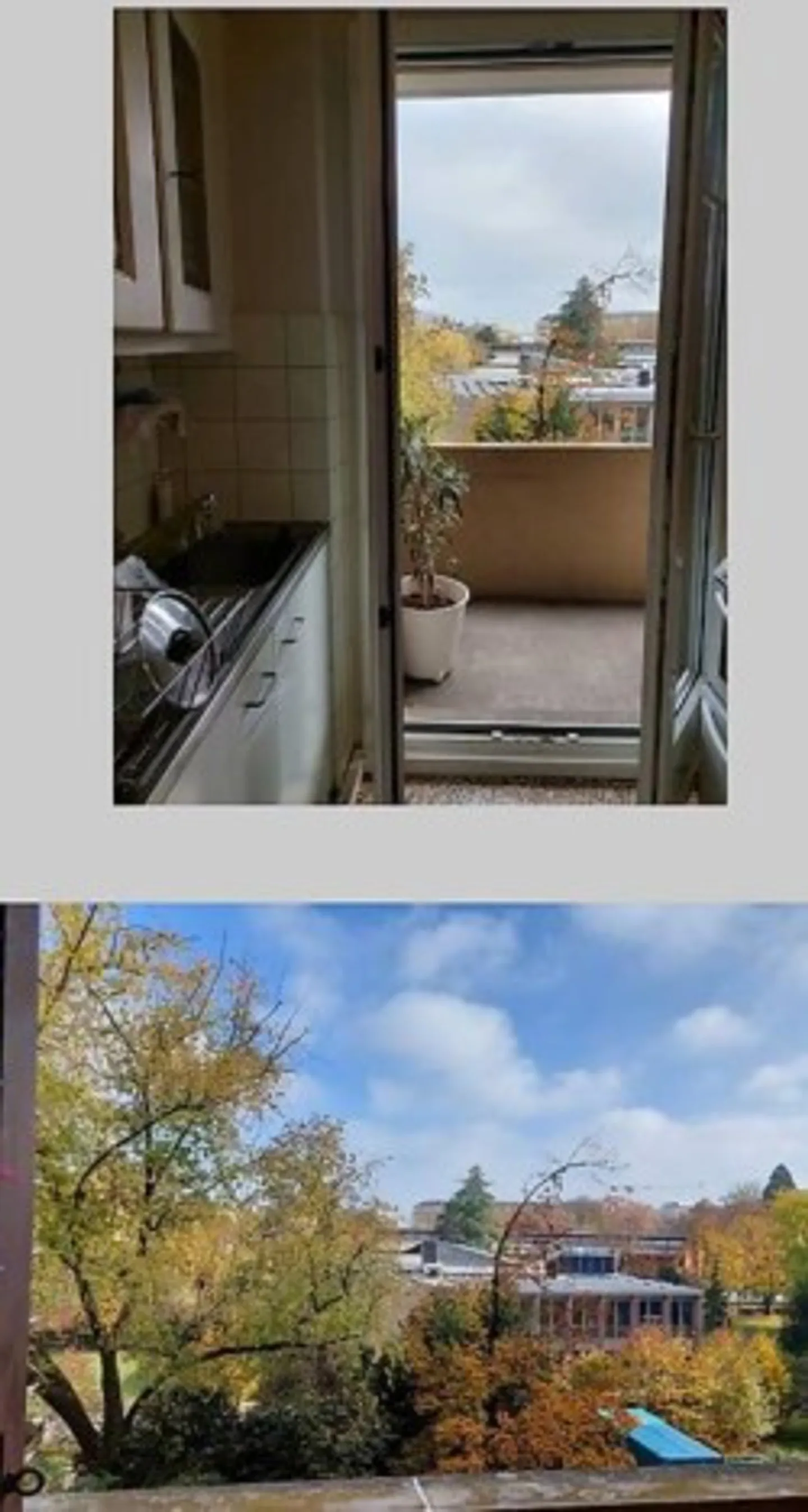 Zweieinhalb-Zimmer-Wohnung in der Servette - Foto 4 von 5