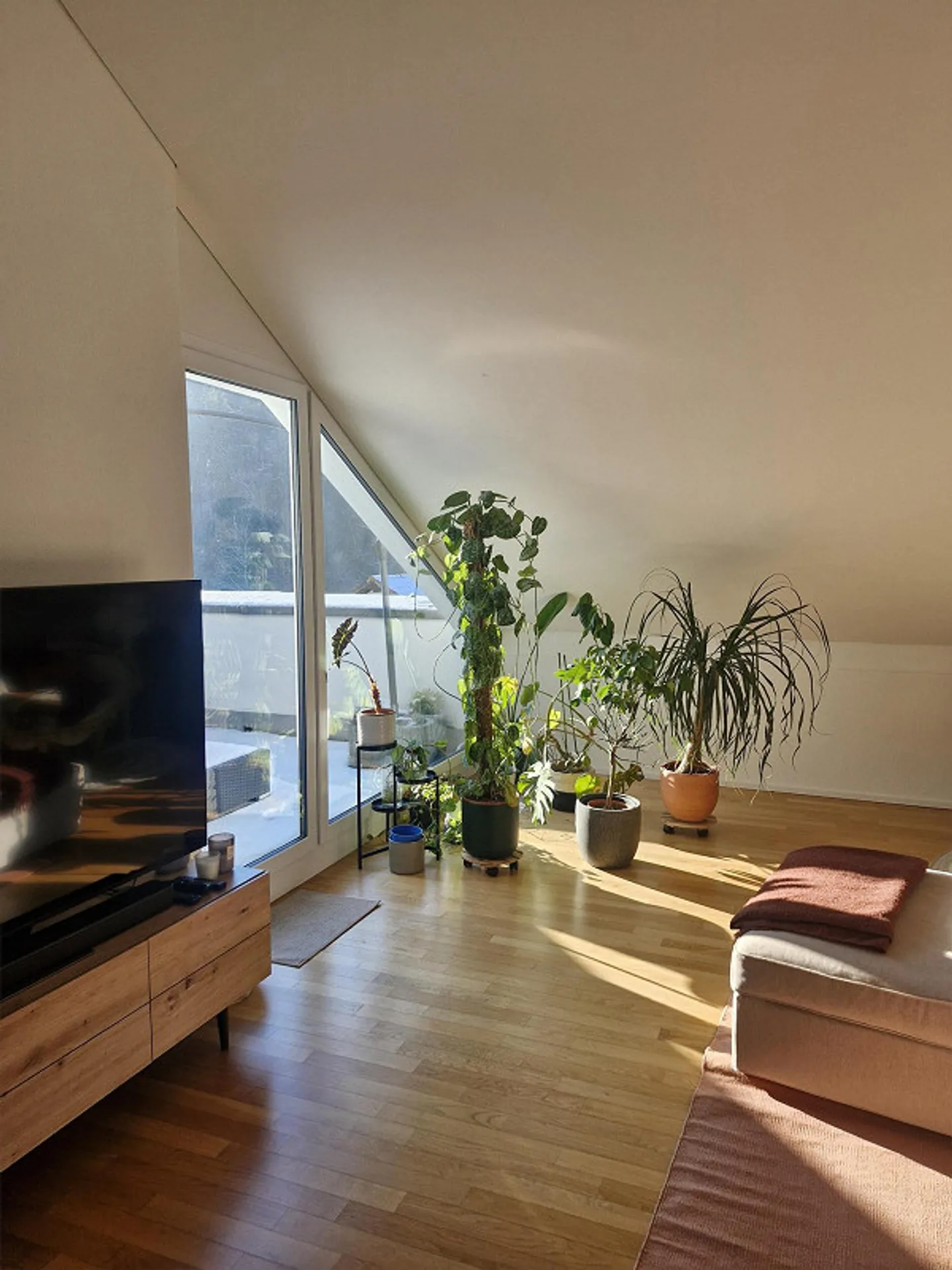 Vivere ai piedi dell'Uetliberg - Foto 2 di 8