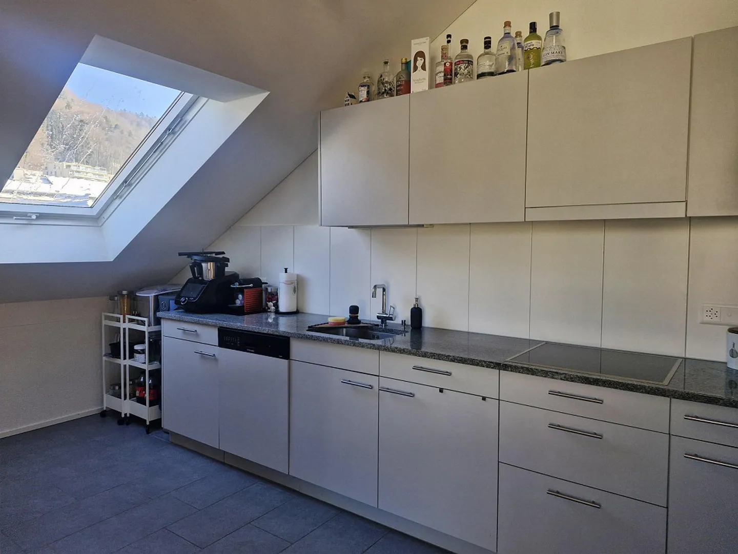 Vivere ai piedi dell'Uetliberg - Foto 3 di 8