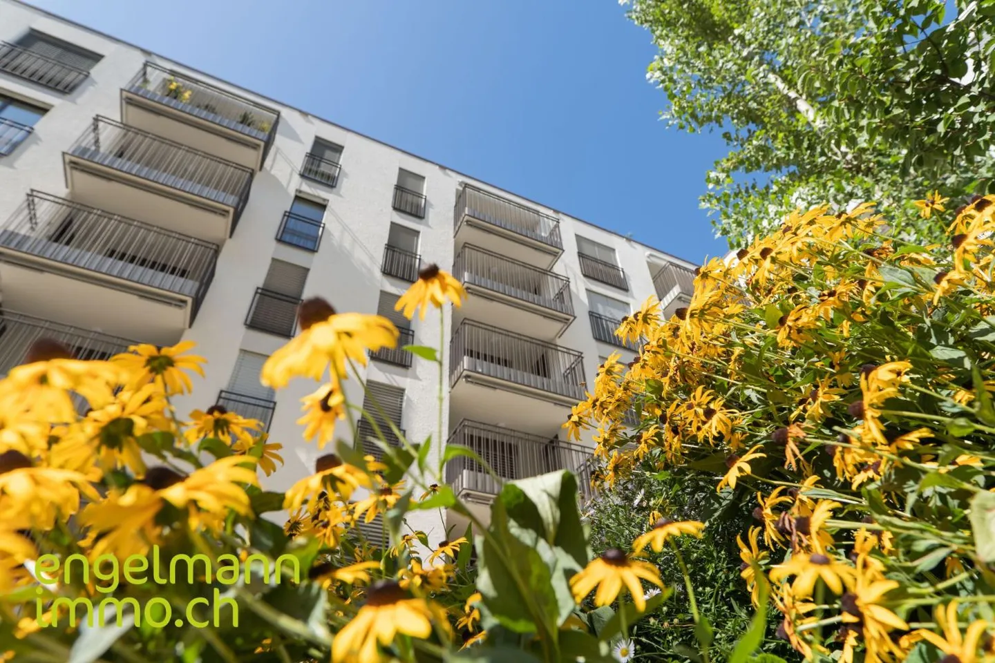 3.5 Zimmerwohnung - Foto 8 von 10