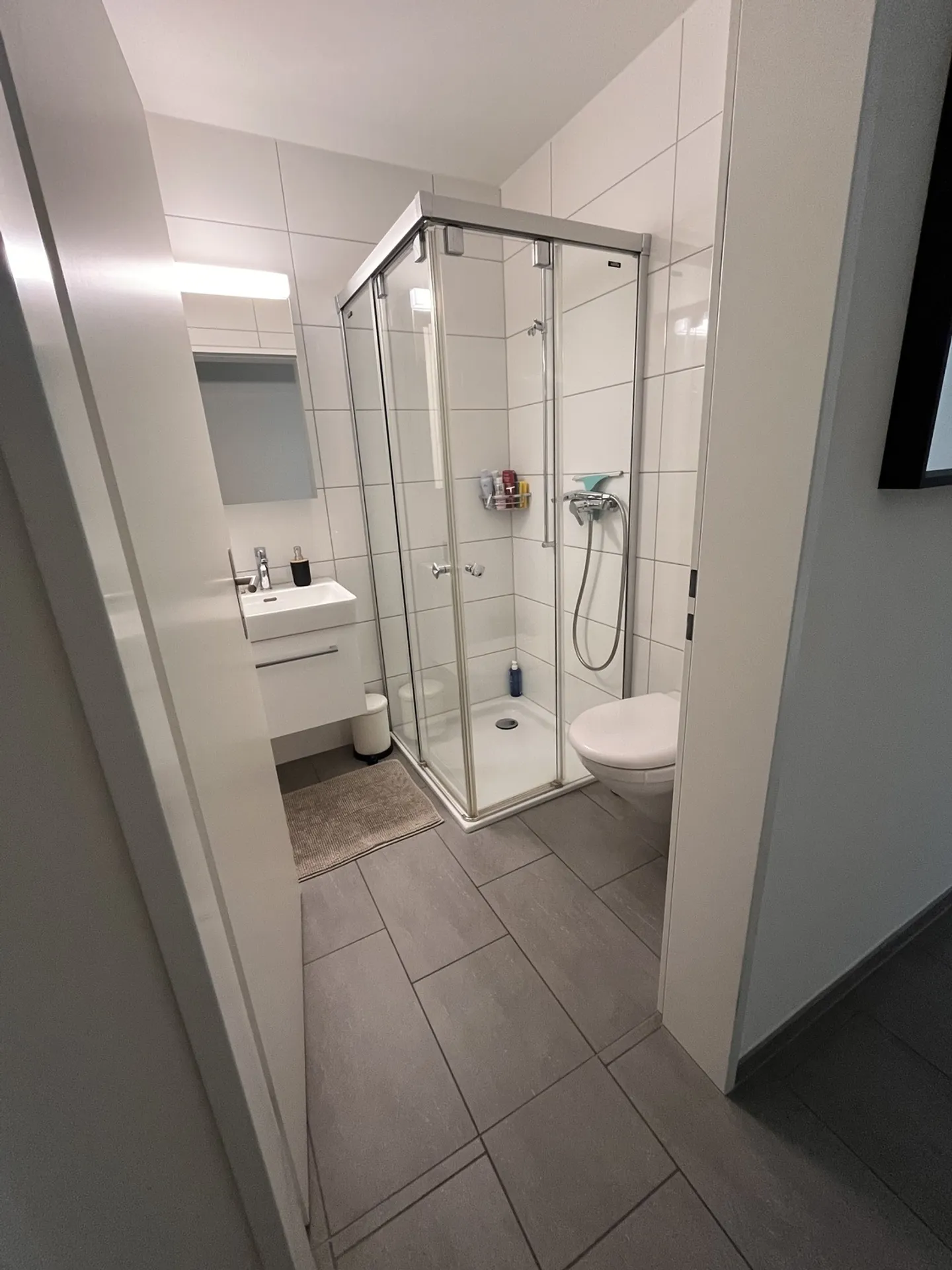 3½ ZI-WOHNUNG IN THUN (BE), MÖBLIERT, TEMPORÄR - Foto 4 von 5
