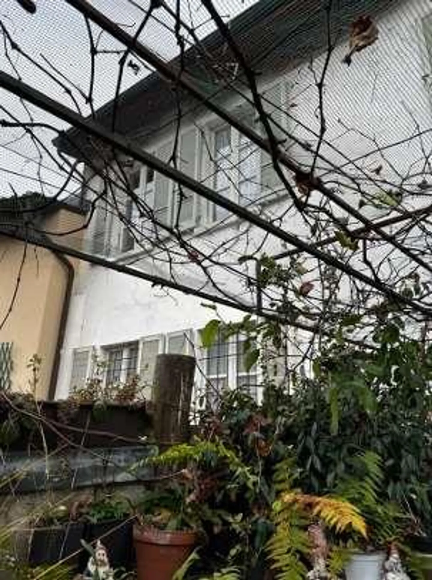 Capolago - Building to be renovated with private courtyard, ter - Photo 3 of 4