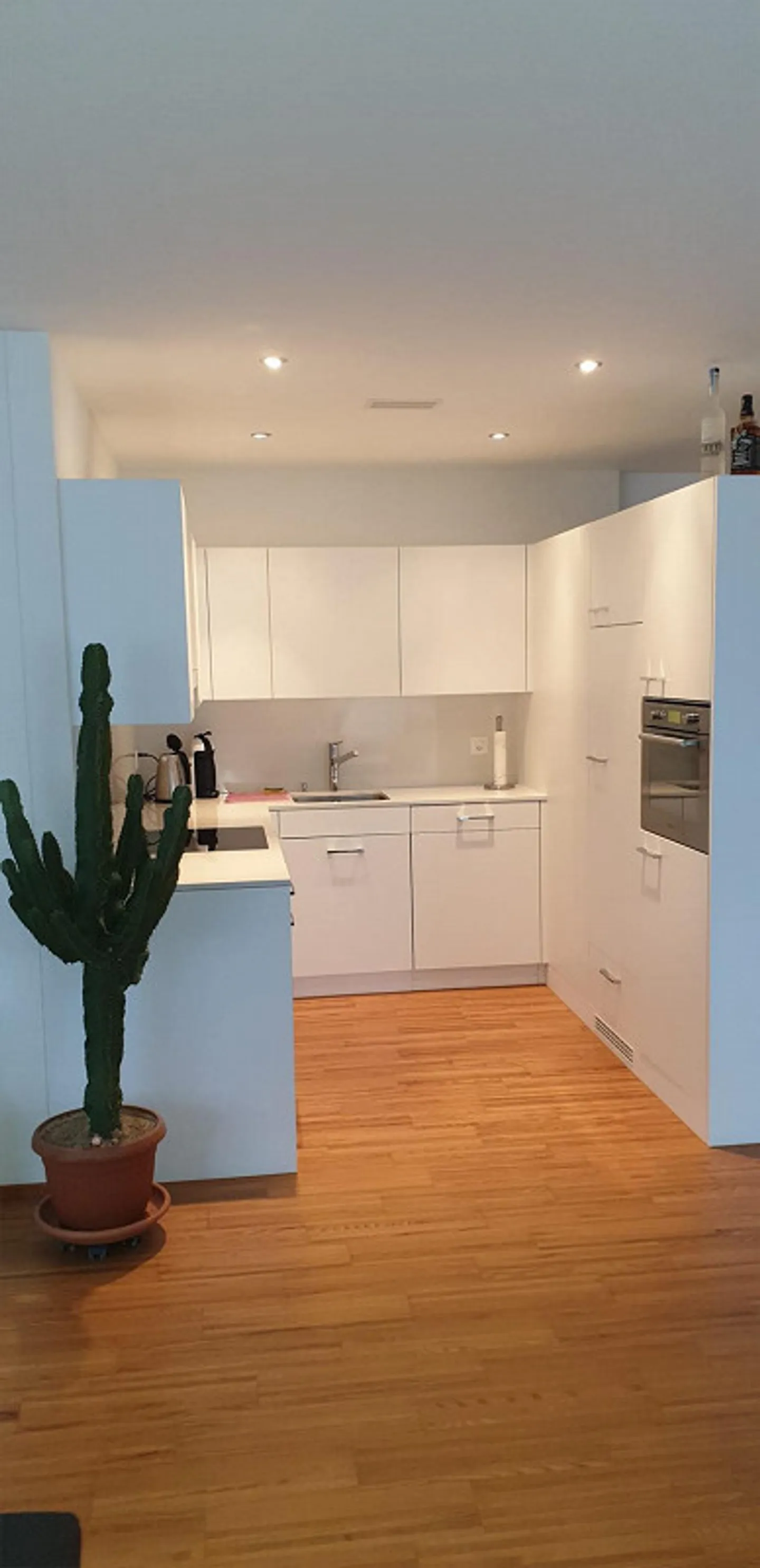 Newly renovated 2.5-room apartment on the ground floor - Photo 3 of 8