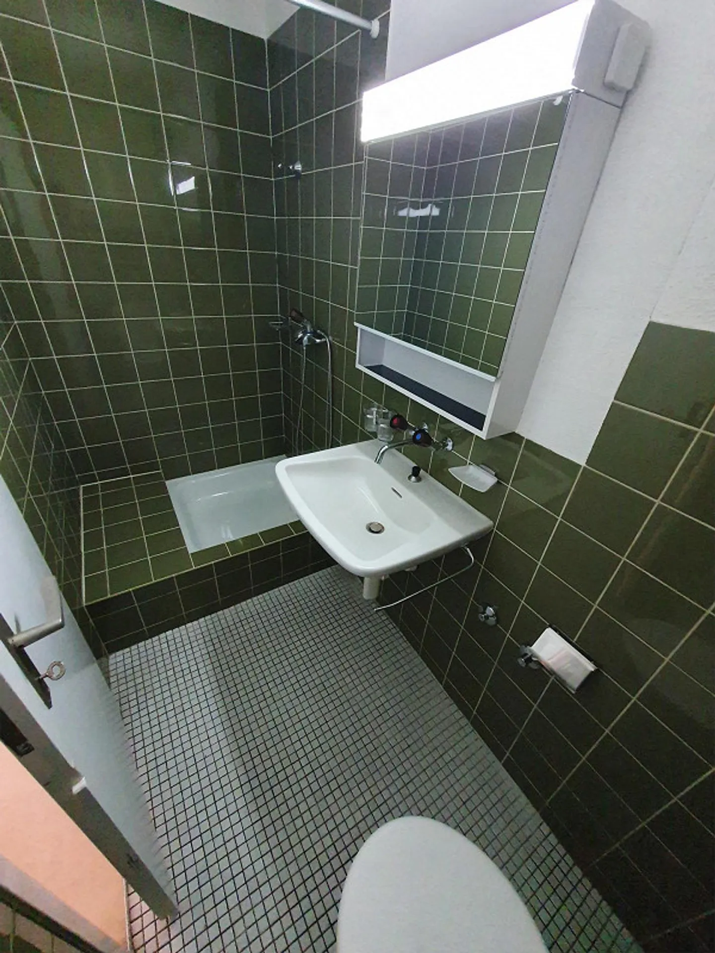 Zentrales Appartement in Rhäzüns - Foto 5 von 7