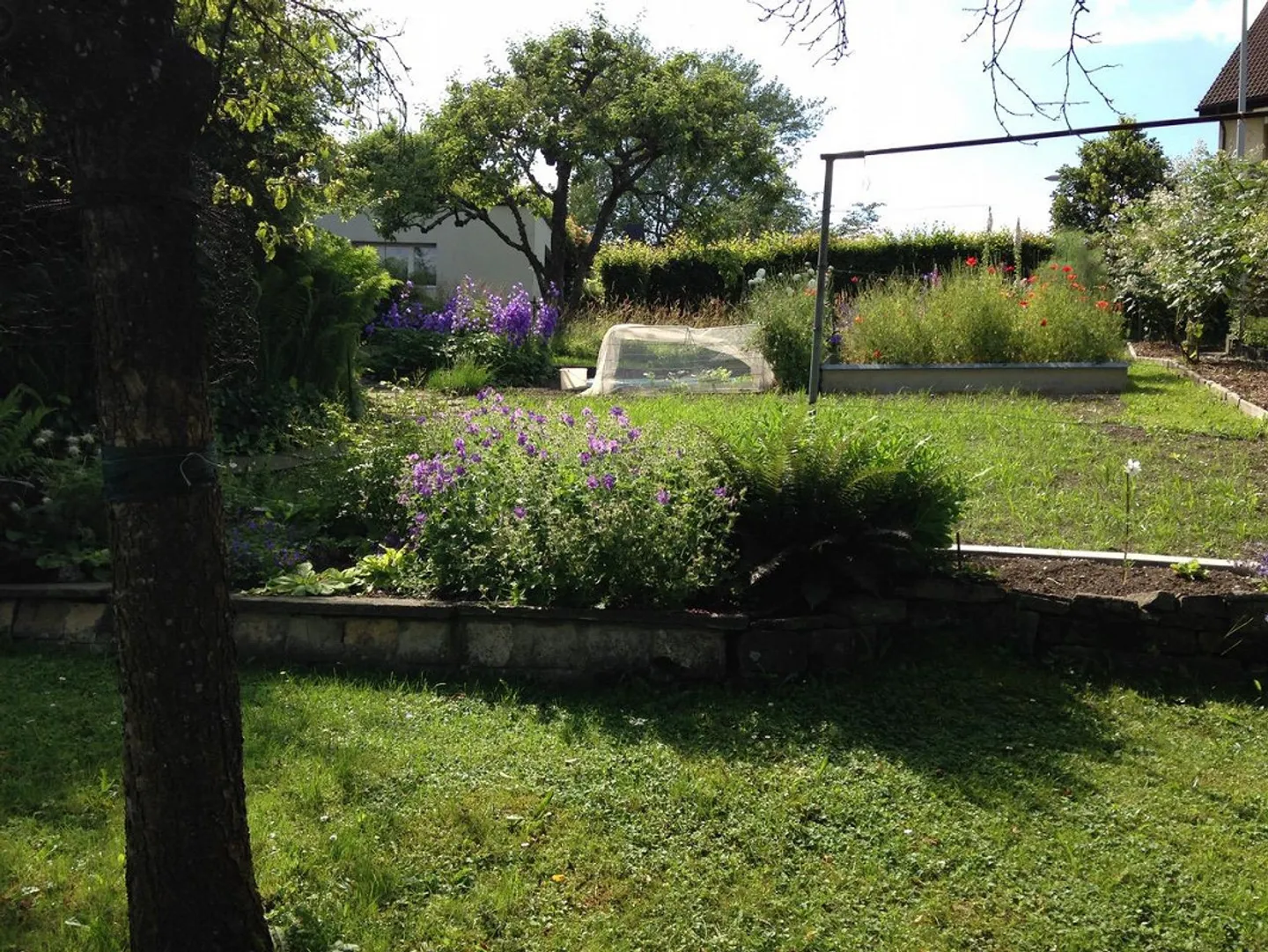 Charmantes EFH mit Garten - Foto 17 von 18