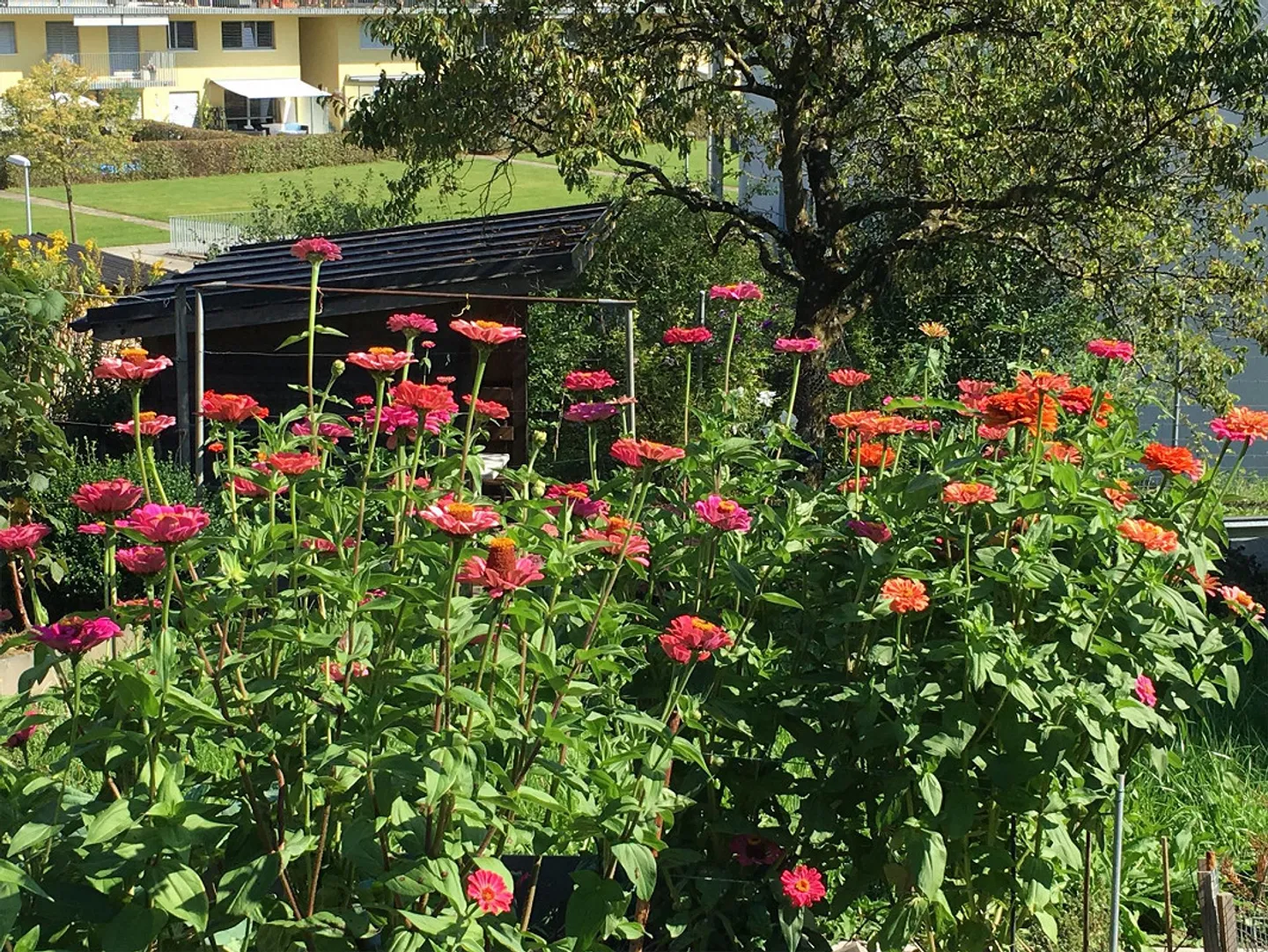Charmantes EFH mit Garten - Foto 18 von 18