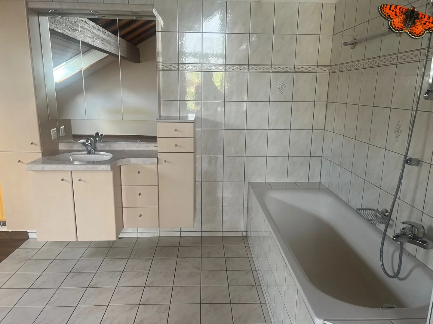 PROPRIETÀ UNICA - 5 STANZE A CHÂTEL-ST-DENIS! - Foto 26 di 27