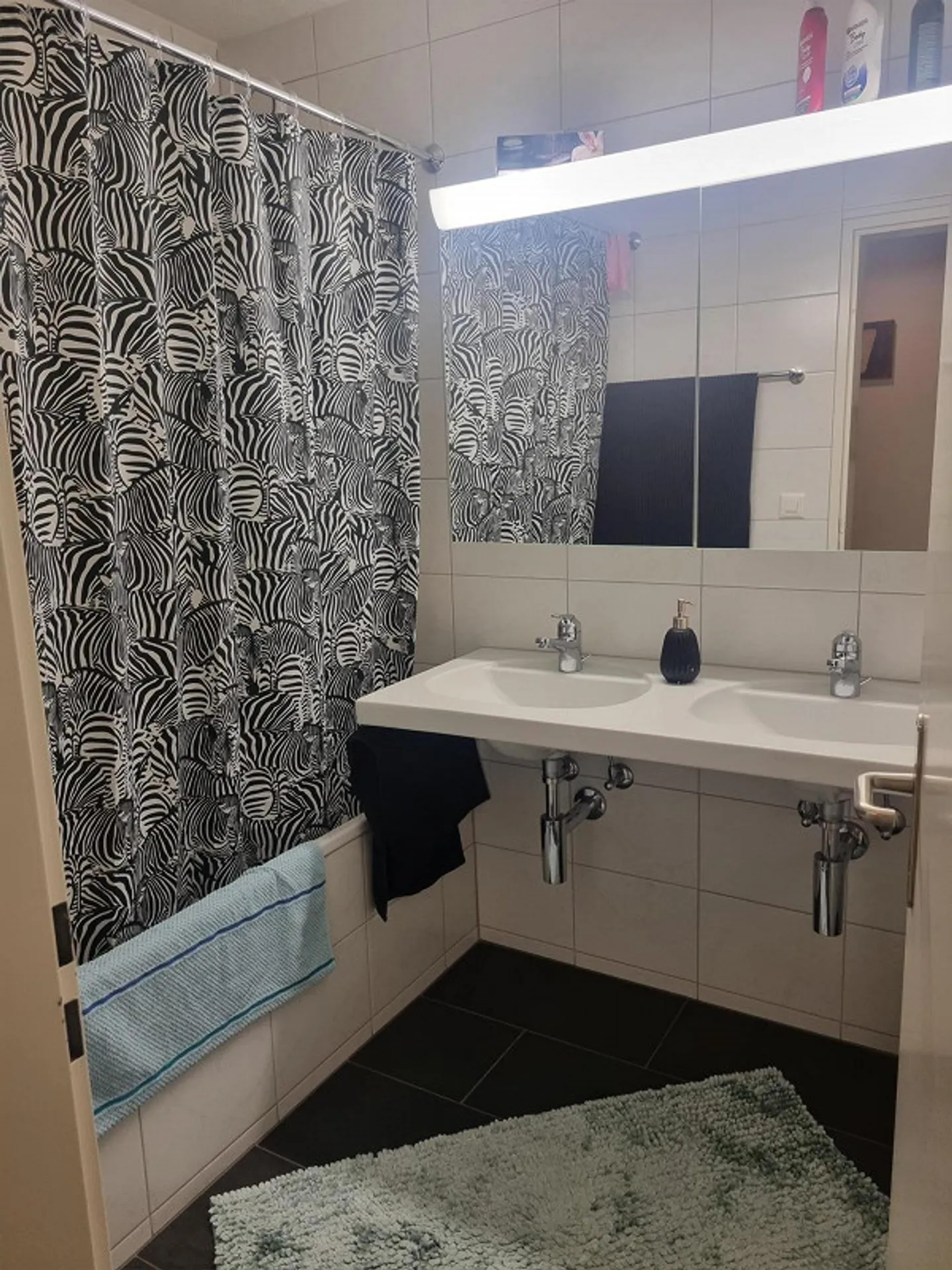 3.5 Room Apartment in Wädenswil - Photo 11 of 13