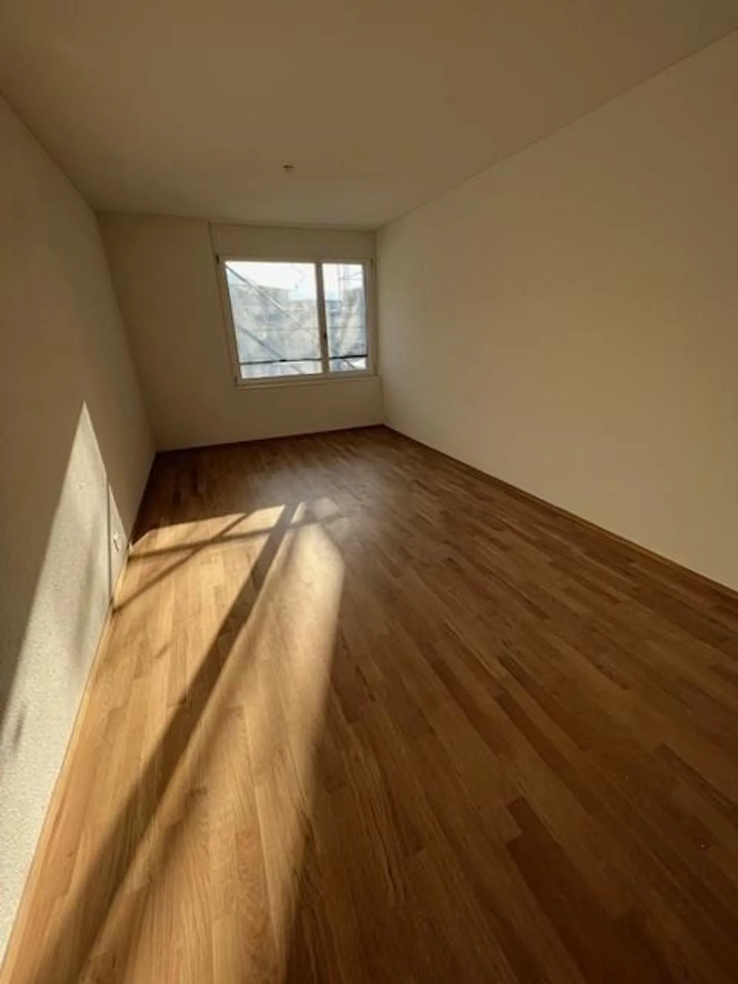 FIRST RENTAL - modern, centrally located new apartment - Photo 10 of 12