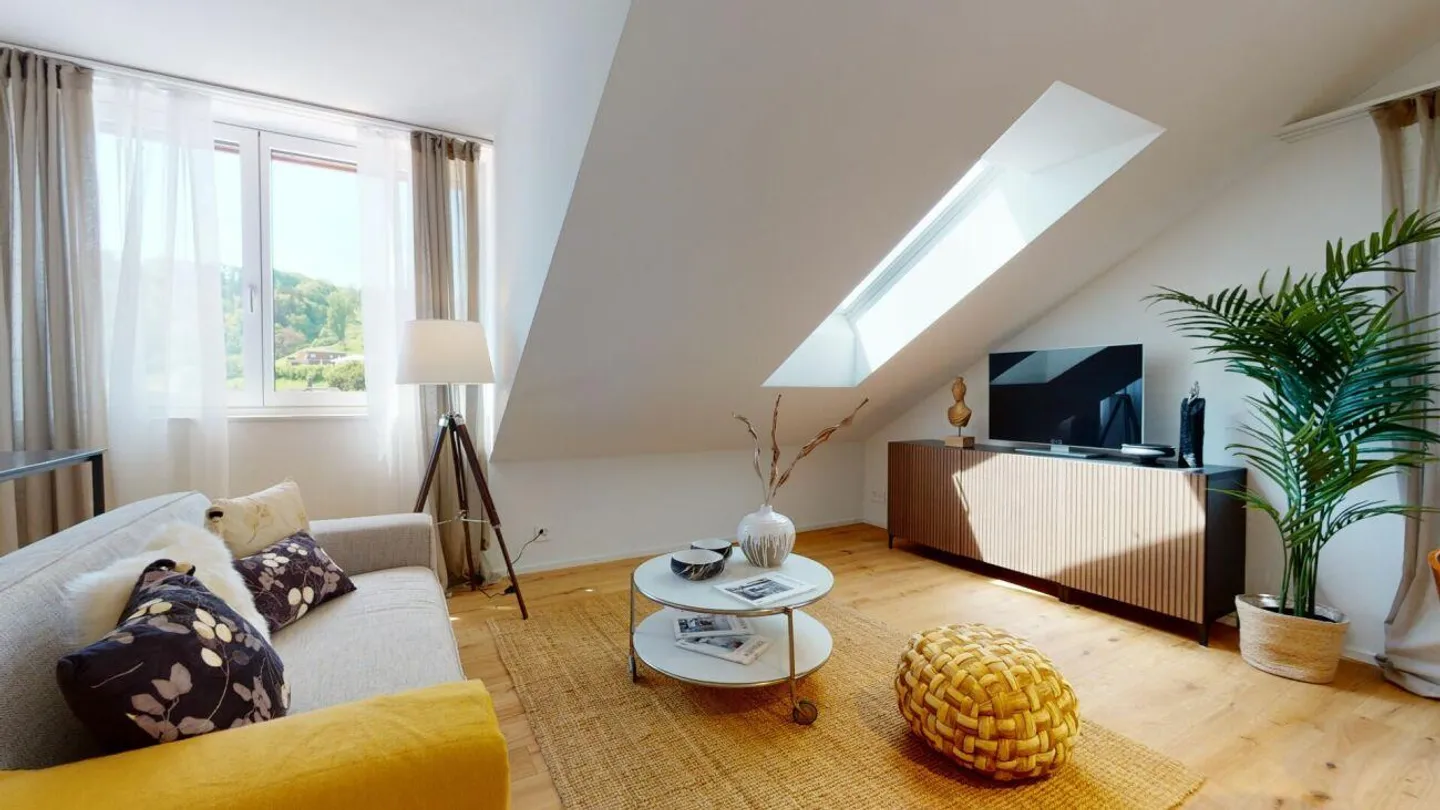 Appartamento attico unico in standard di proprietà - Foto 3 di 14