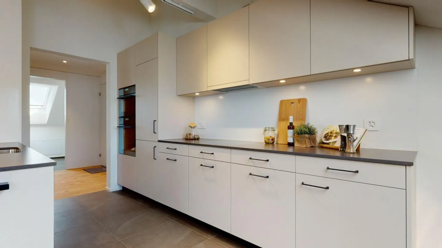 Appartamento attico unico in standard di proprietà - Foto 4 di 14