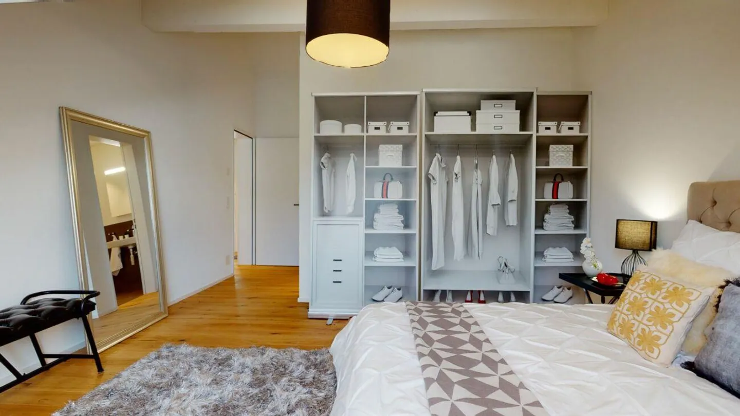 Appartamento attico unico in standard di proprietà - Foto 10 di 14