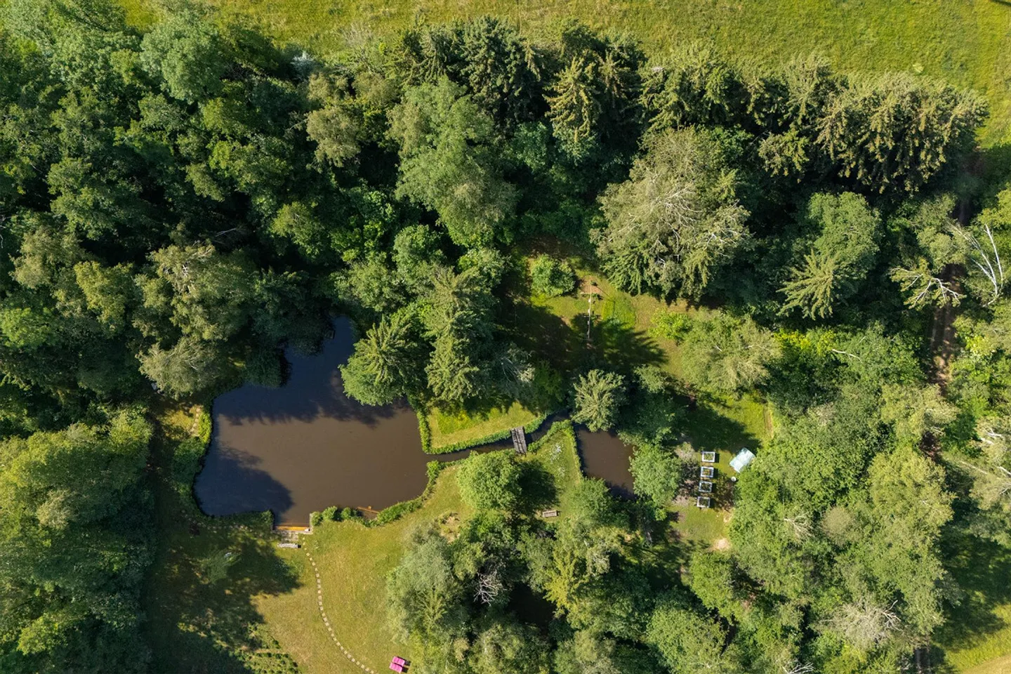 Einzigartiges Naturrefugium in Amriswil - Foto 2 von 43