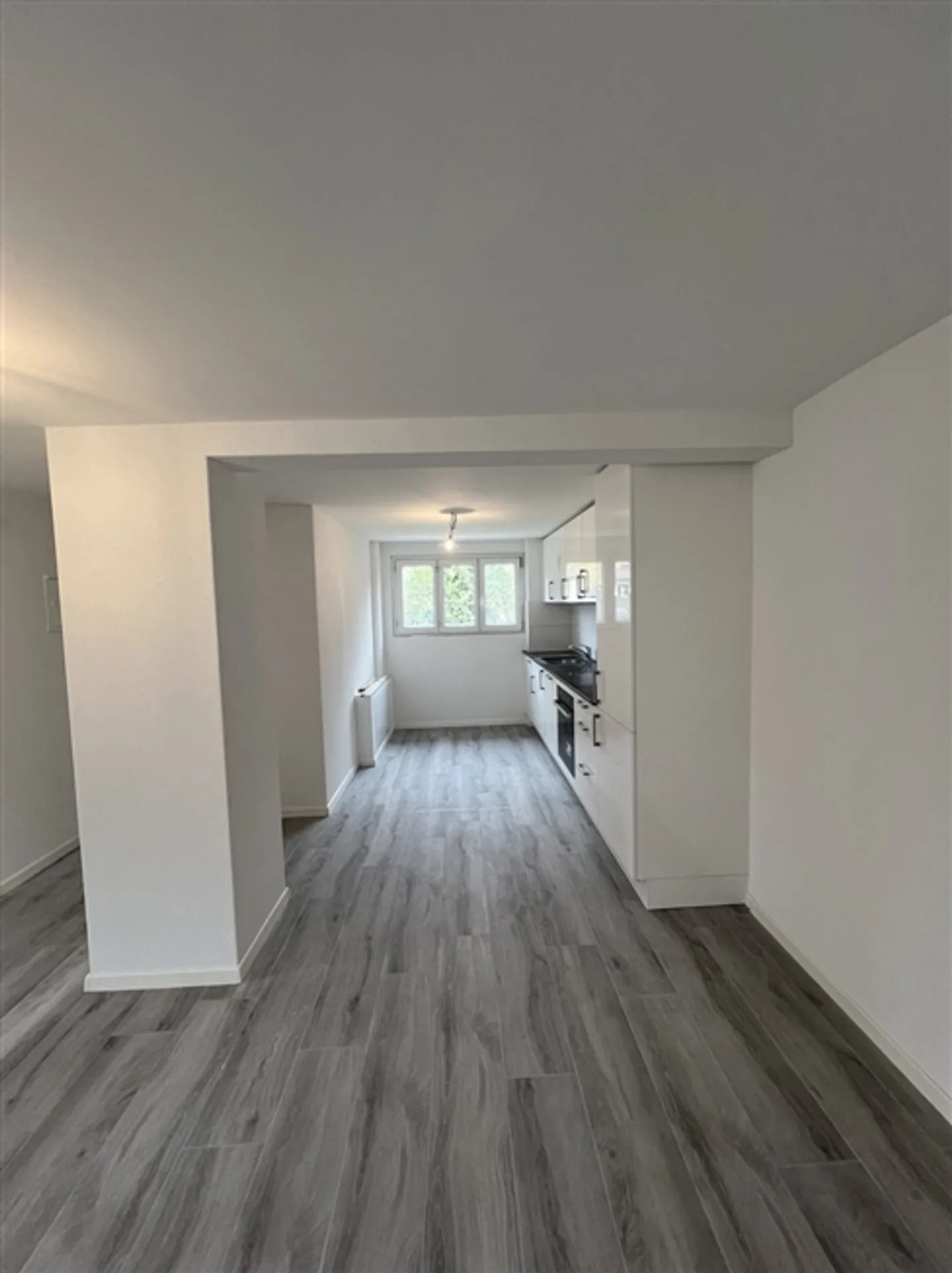 In affitto: appartamento 3,5 locali completamente ristrutturato in un piccolo edificio - Foto 2 di 7