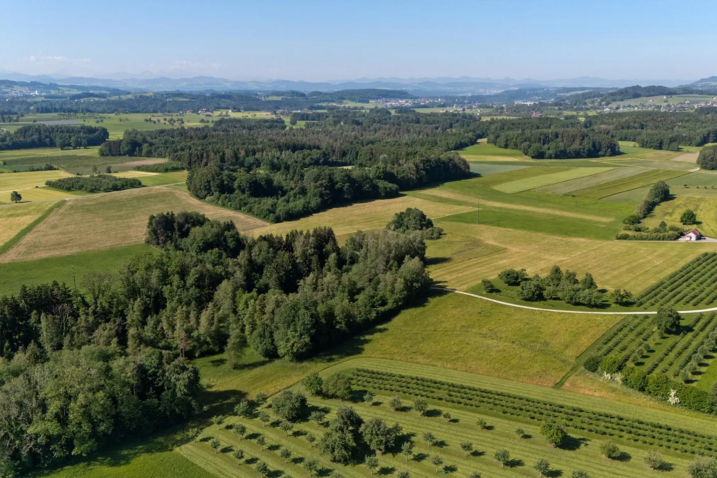 Einzigartiges Naturrefugium in Amriswil - Foto 5 von 43