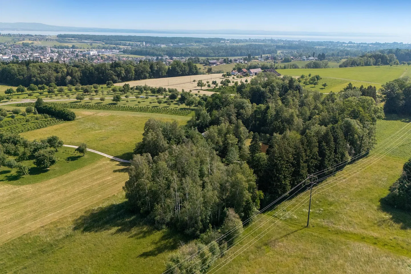 Einzigartiges Naturrefugium in Amriswil - Foto 6 von 43