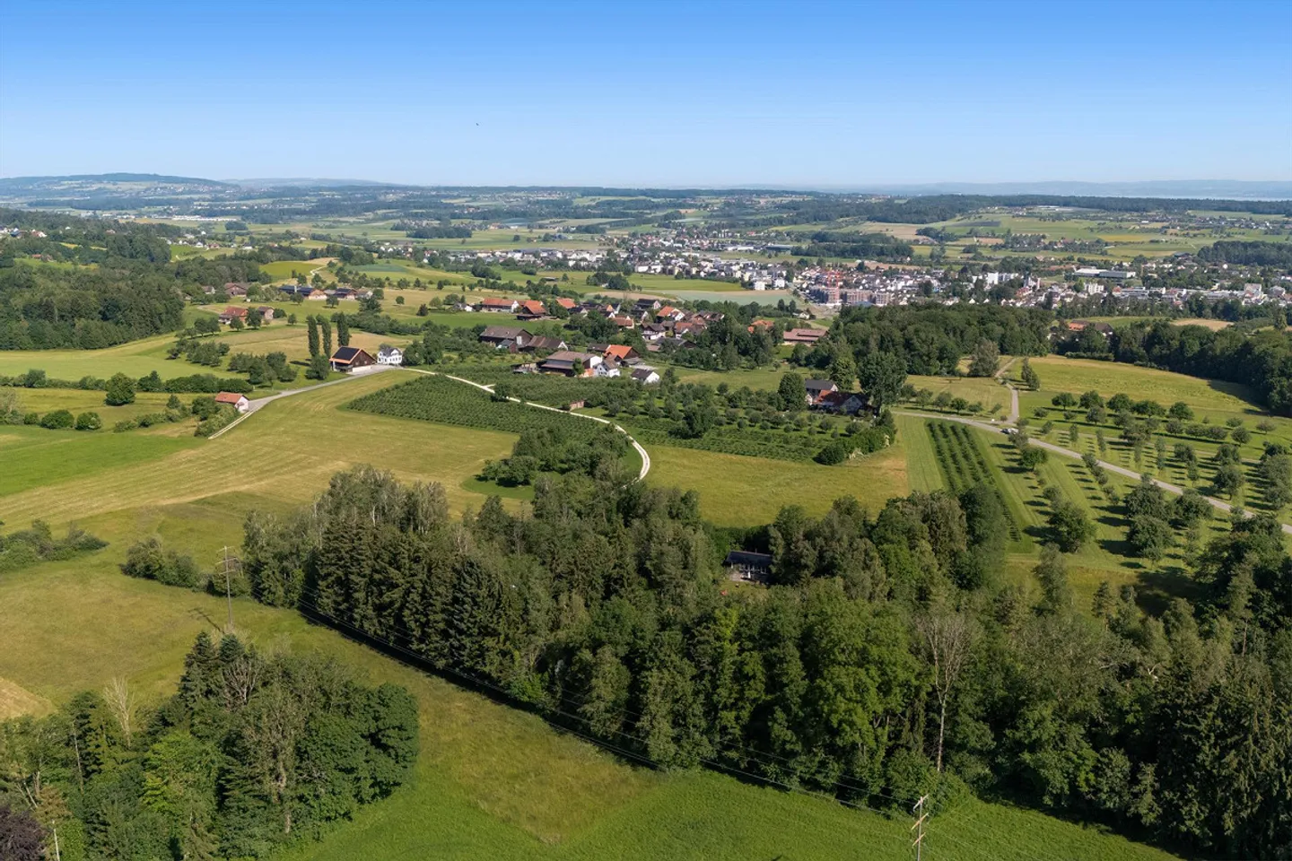 Einzigartiges Naturrefugium in Amriswil - Foto 7 von 43