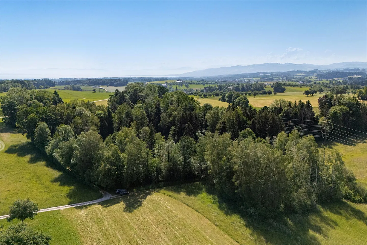 Einzigartiges Naturrefugium in Amriswil - Foto 8 von 43