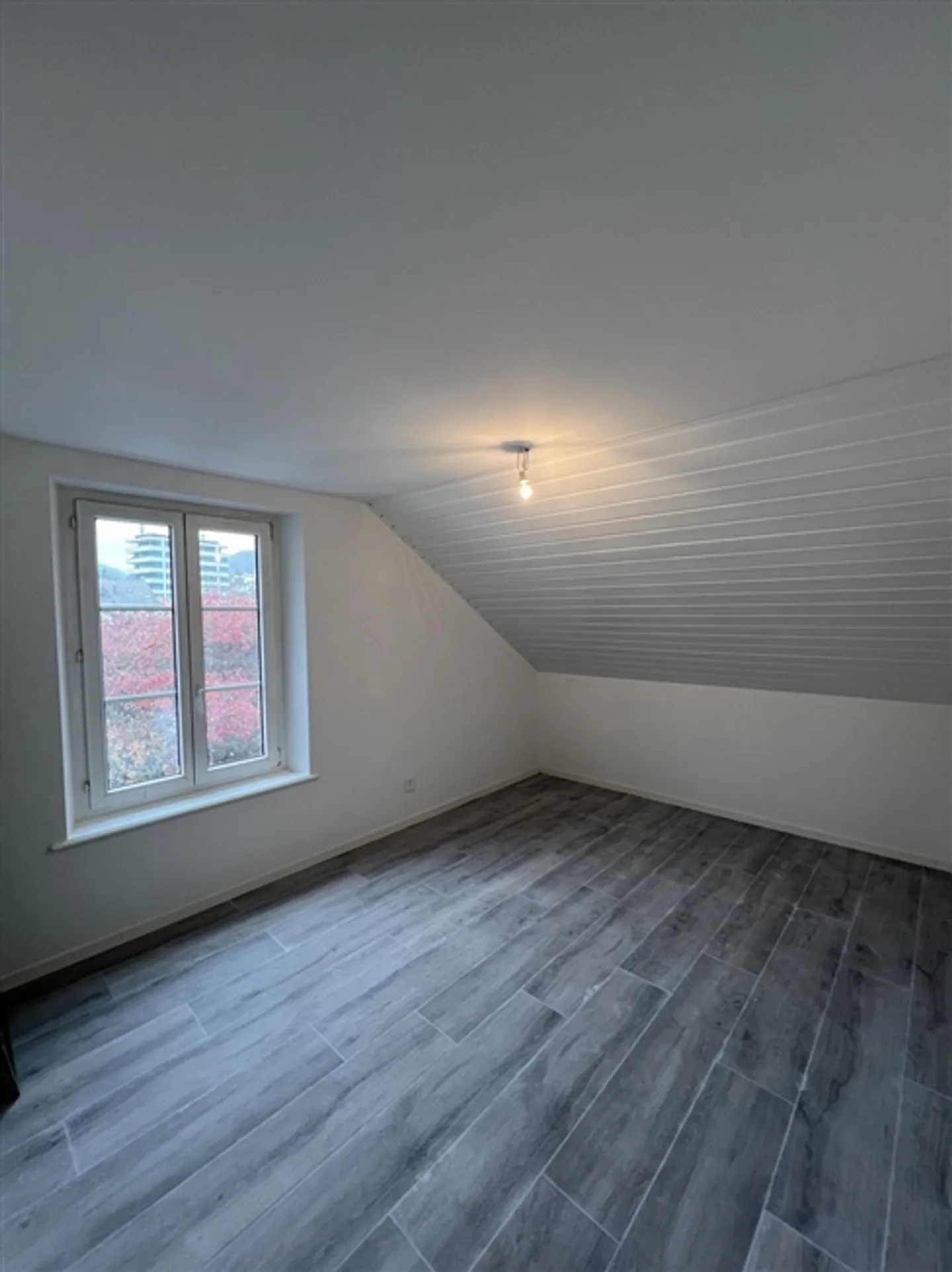 In affitto: appartamento 3,5 locali completamente ristrutturato in un piccolo edificio - Foto 4 di 7