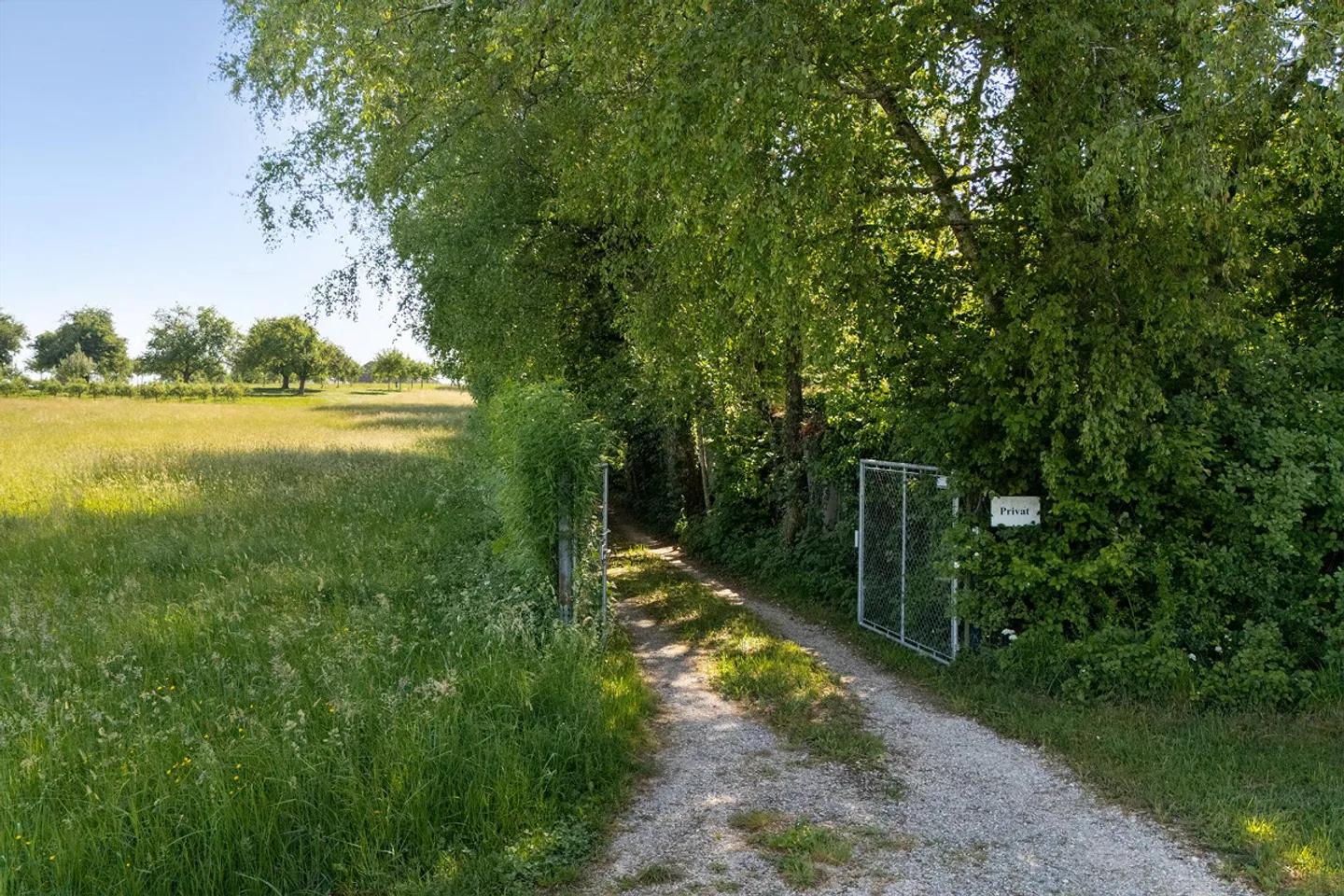 Einzigartiges Naturrefugium in Amriswil - Foto 10 von 43
