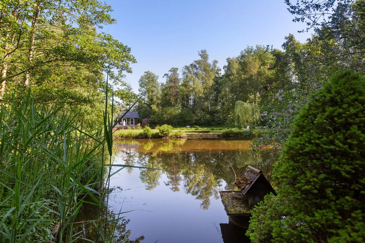 Einzigartiges Naturrefugium in Amriswil - Foto 13 von 43