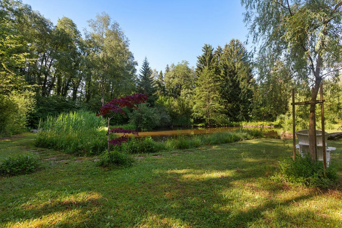 Einzigartiges Naturrefugium in Amriswil - Foto 16 von 43