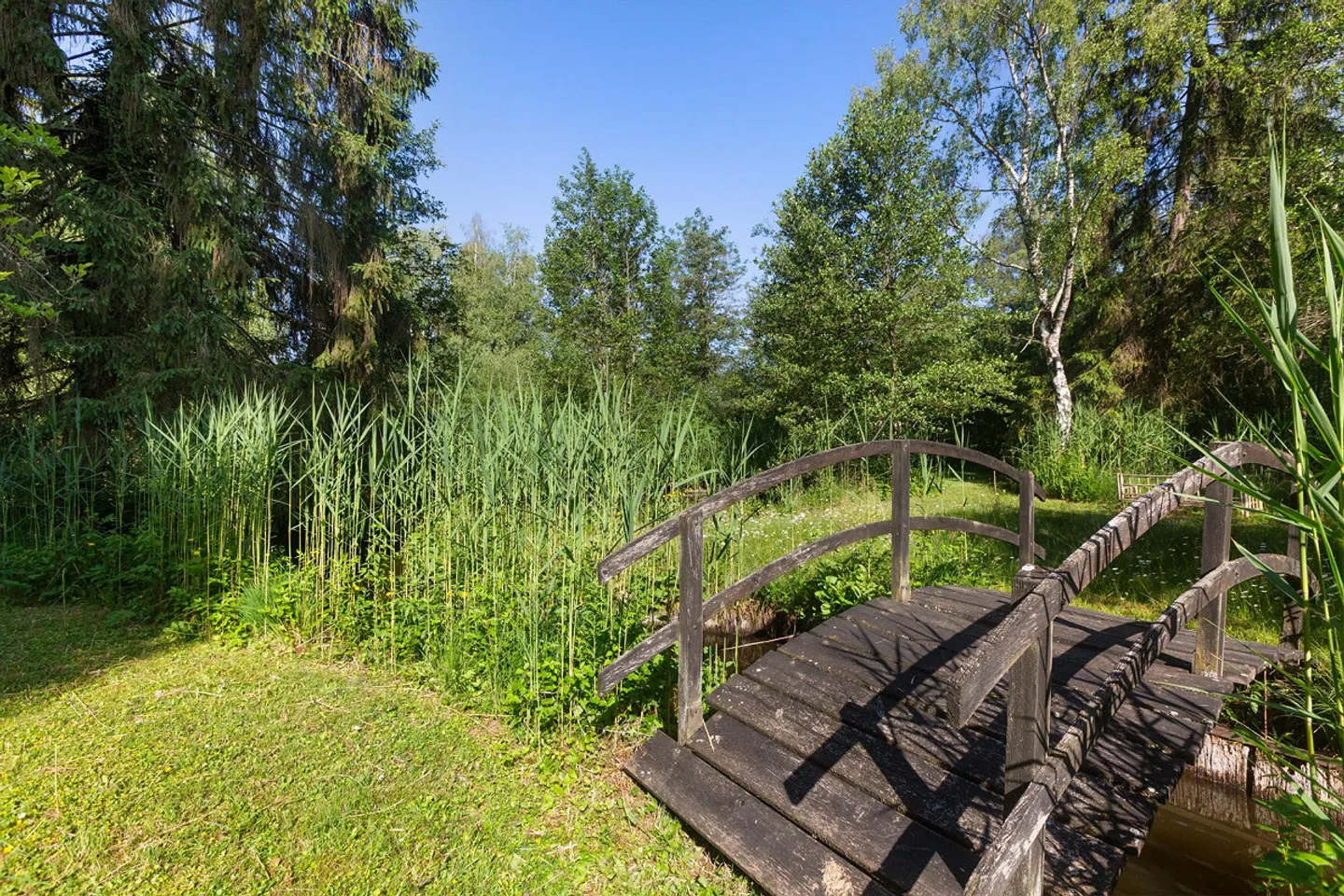 Einzigartiges Naturrefugium in Amriswil - Foto 20 von 43