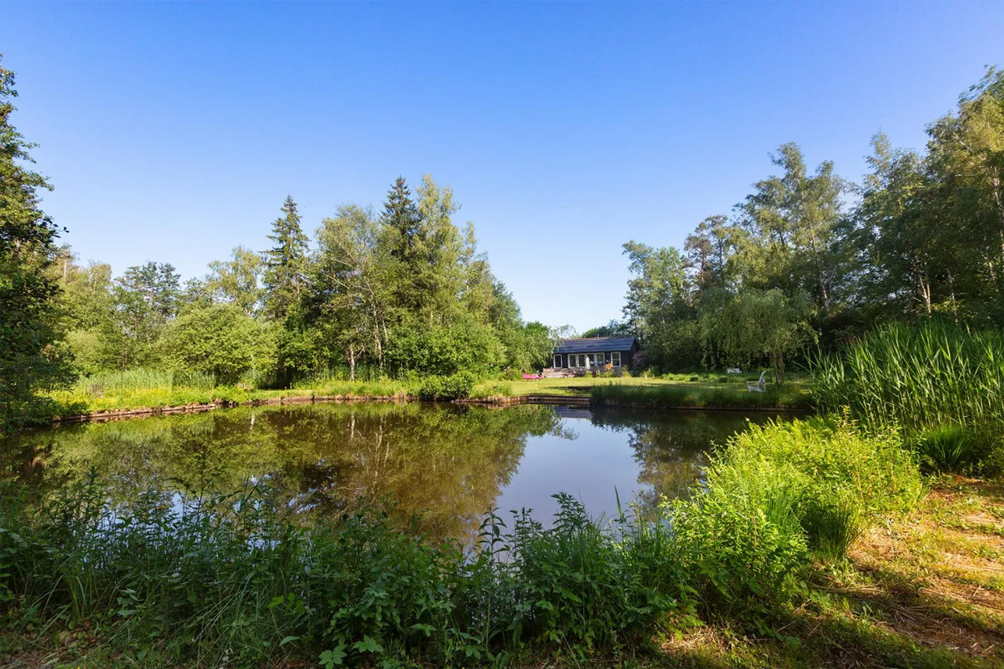 Einzigartiges Naturrefugium in Amriswil - Foto 22 von 43