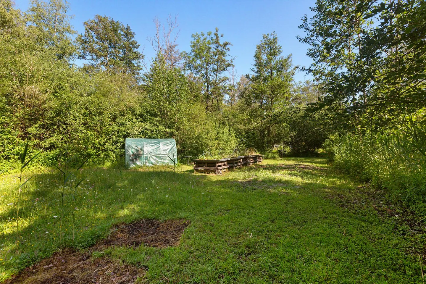 Einzigartiges Naturrefugium in Amriswil - Foto 29 von 43