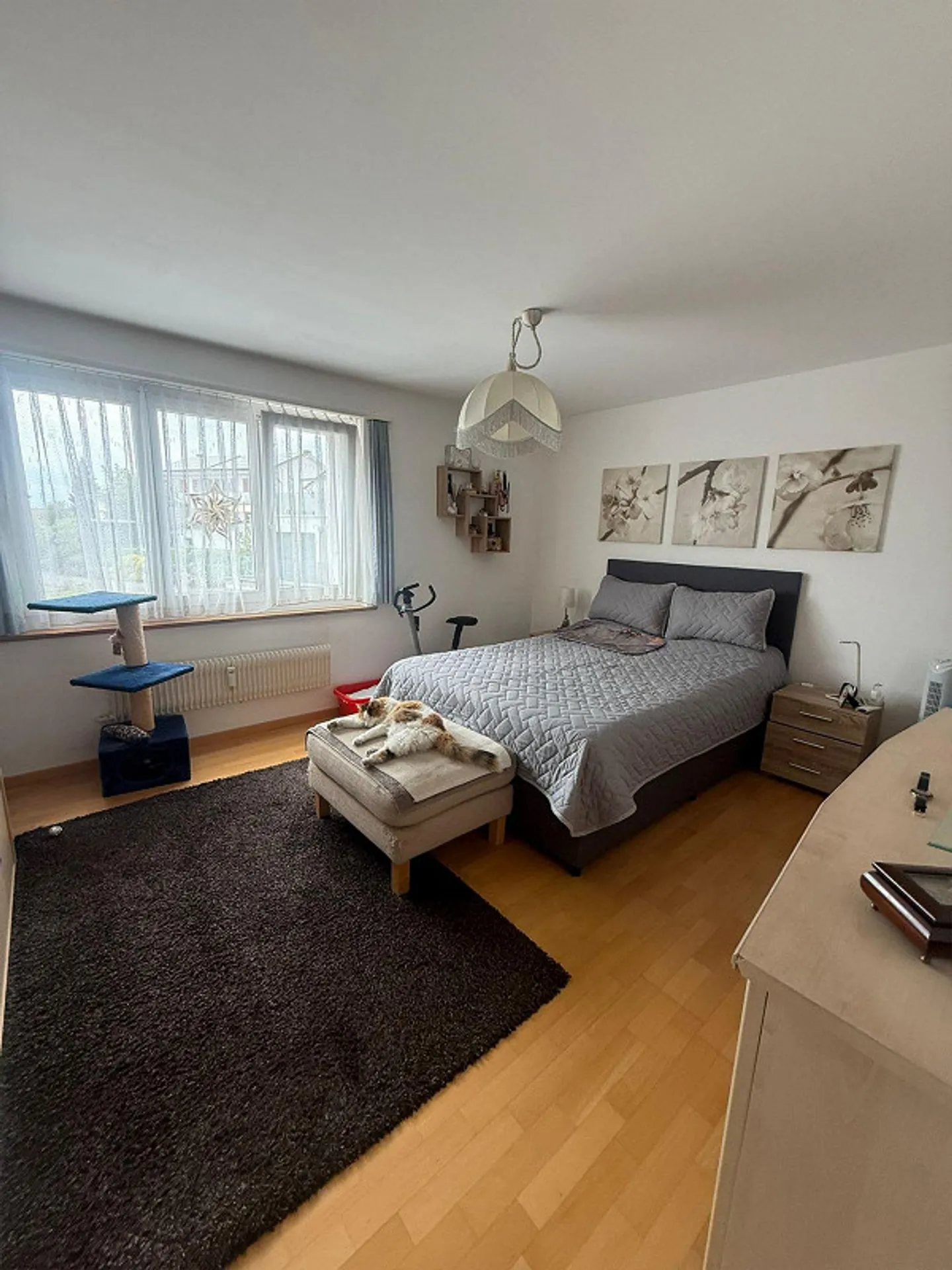 Appartamento 3.5 stanze in una posizione tranquilla a Bettwiesen - Foto 3 di 13
