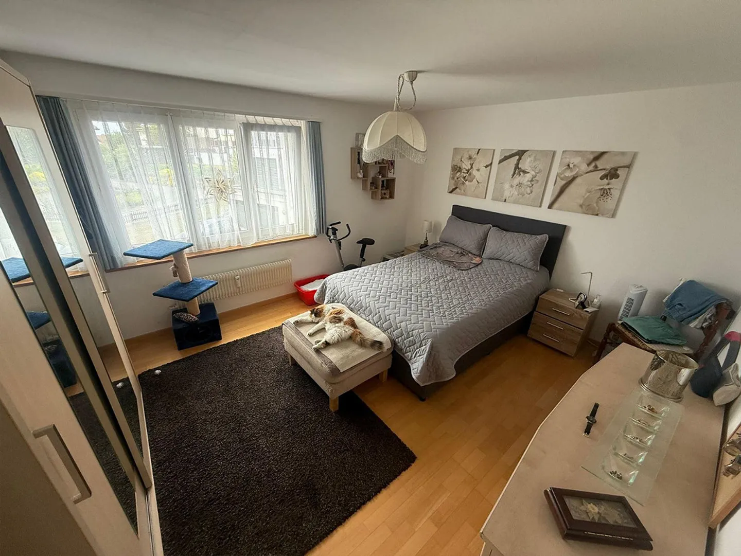 Appartamento 3.5 stanze in una posizione tranquilla a Bettwiesen - Foto 4 di 13