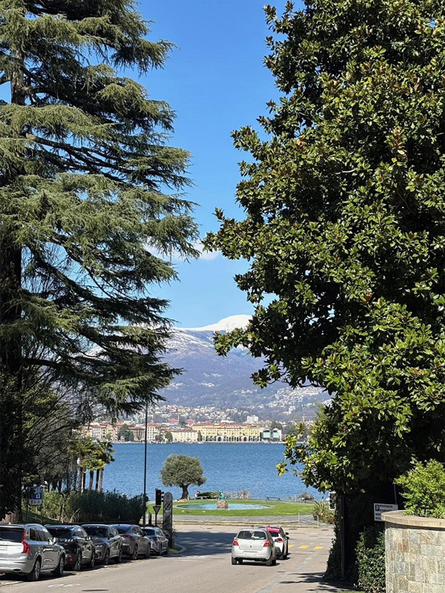 Elegante 4,5-Zimmer-Wohnung in Paradiso - Foto 2 von 8