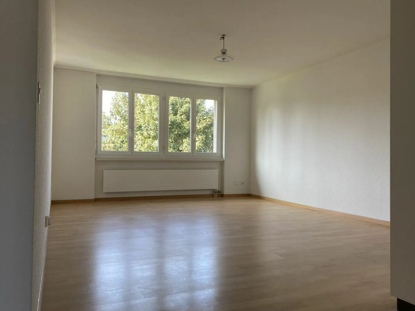 Appartamento attraente di 3,5 locali in una posizione privilegiata a Baden-Dä... - Foto 4 di 14