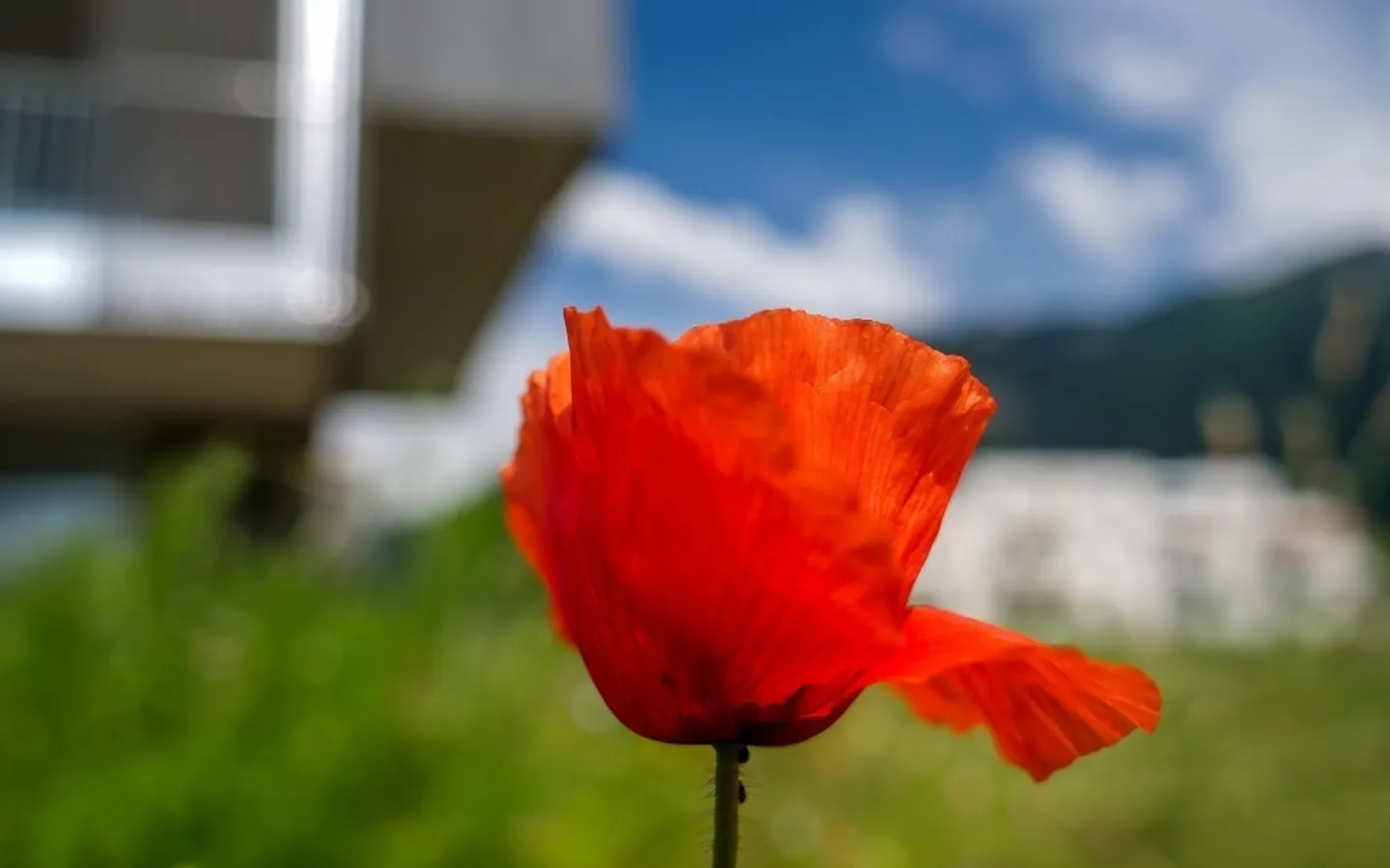 Bell'appartamento di 3,5 stanze con balcone / Bex-Jardins - Foto 3 di 9