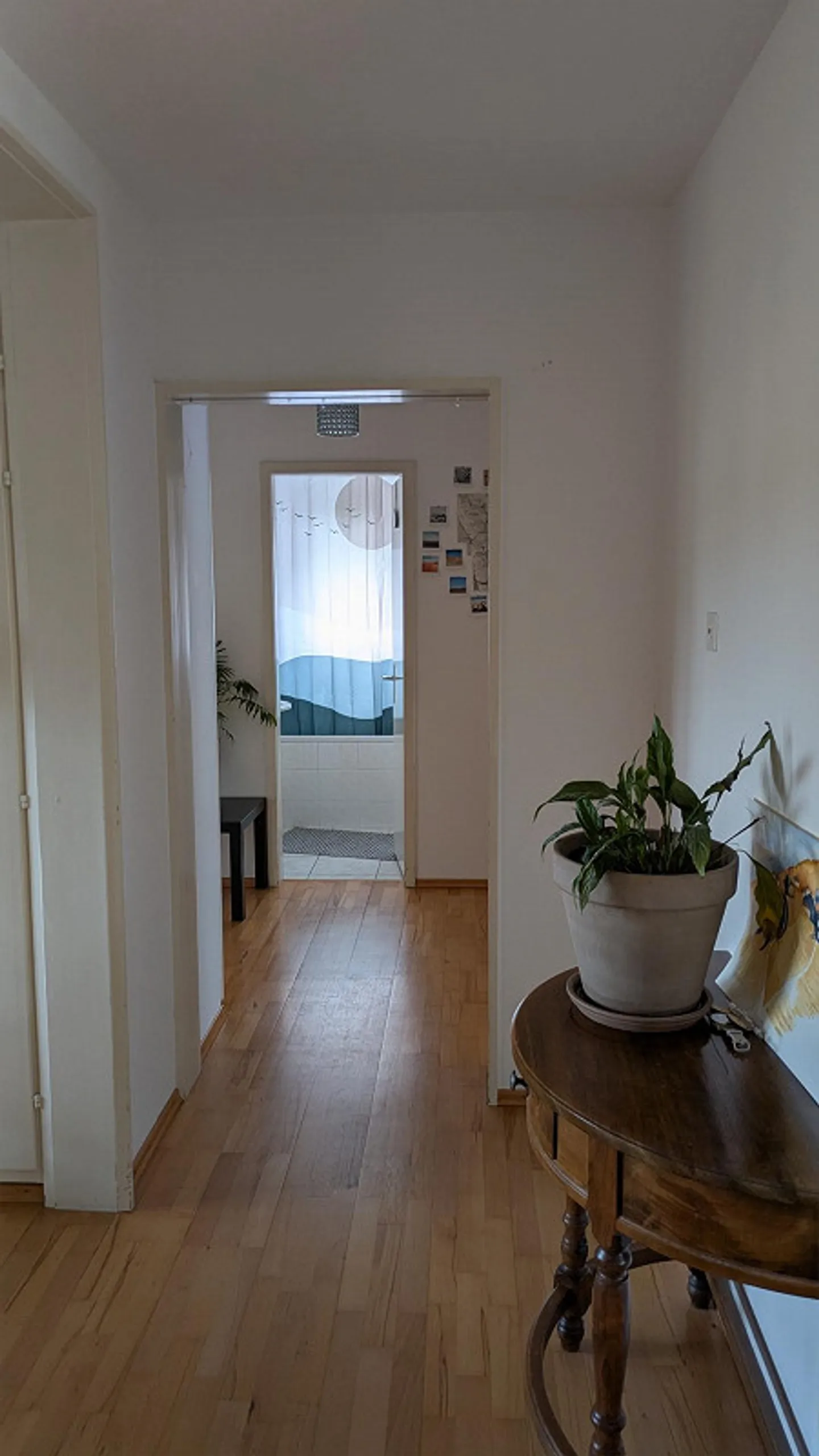 Cercasi nuovo inquilino per appartamento di 4.5 stanze dal 16.12.25 o dal 01.01.26 - Foto 6 di 13
