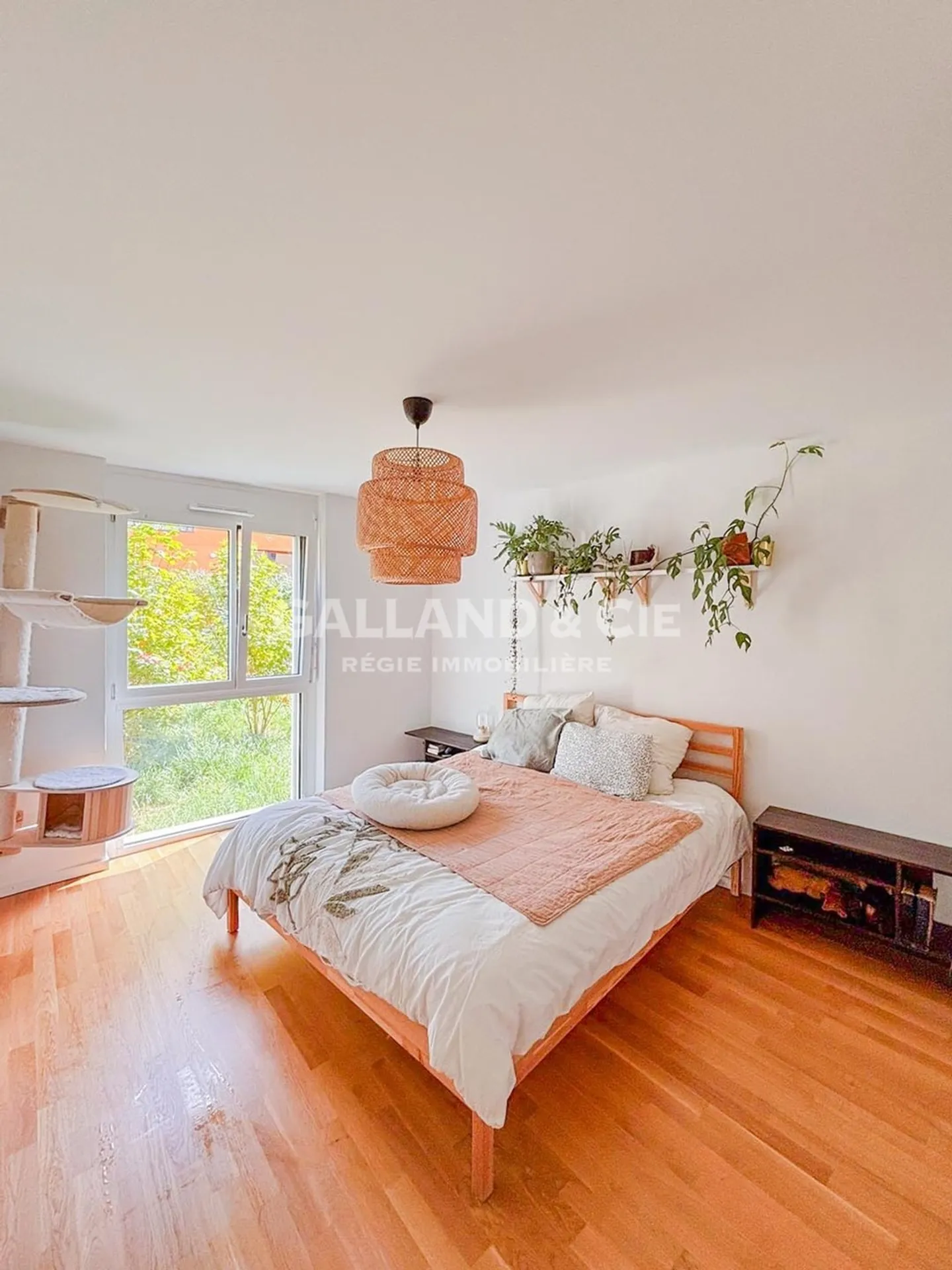 3.5-room apartment - Photo 1 of 10