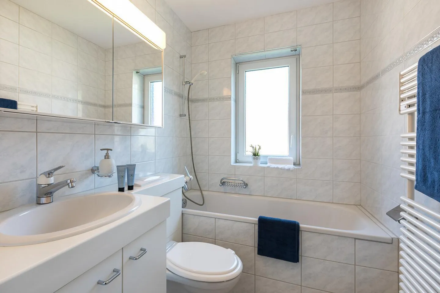 Appartamento 3 locali a Sciaffusa - Foto 6 di 8