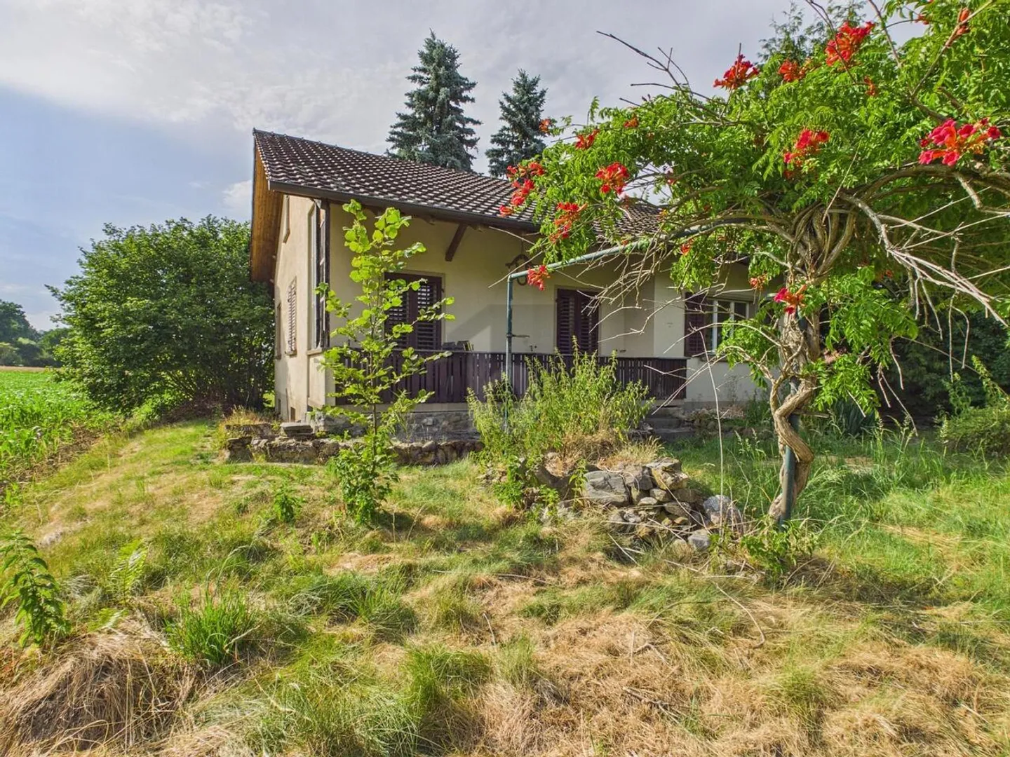 DREAM LOCATION - SURROUNDED BY AGRICULTURAL ZONE! - Photo 1 of 6