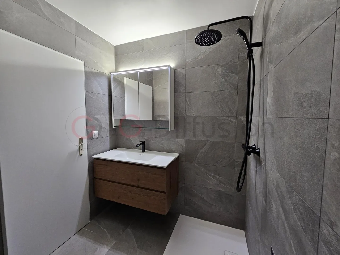 Renovated 2.5-Room Apartment - Photo 4 of 7