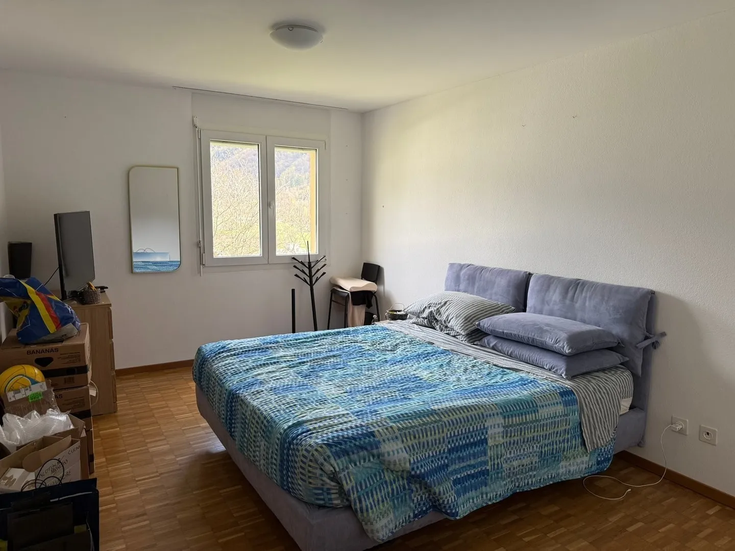 Piacevole 2.5 locali - Foto 7 di 8