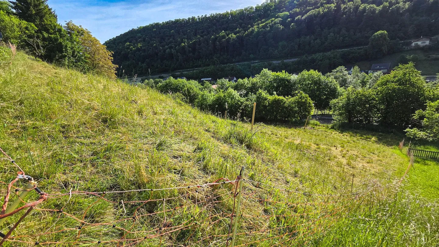 Baugrundstück mit Aussicht - Foto 7 von 11