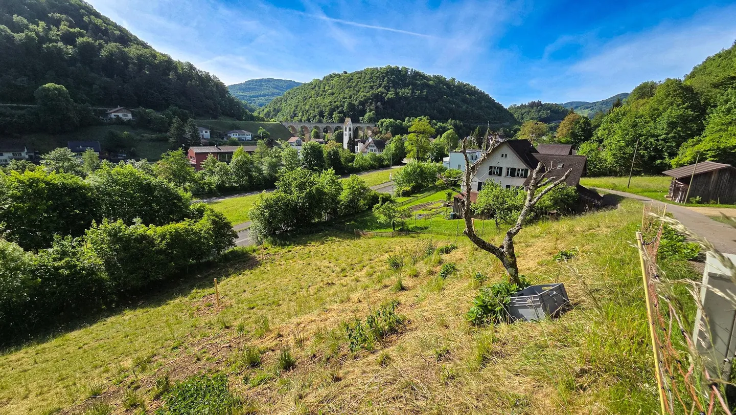 Baugrundstück mit Aussicht - Foto 8 von 11