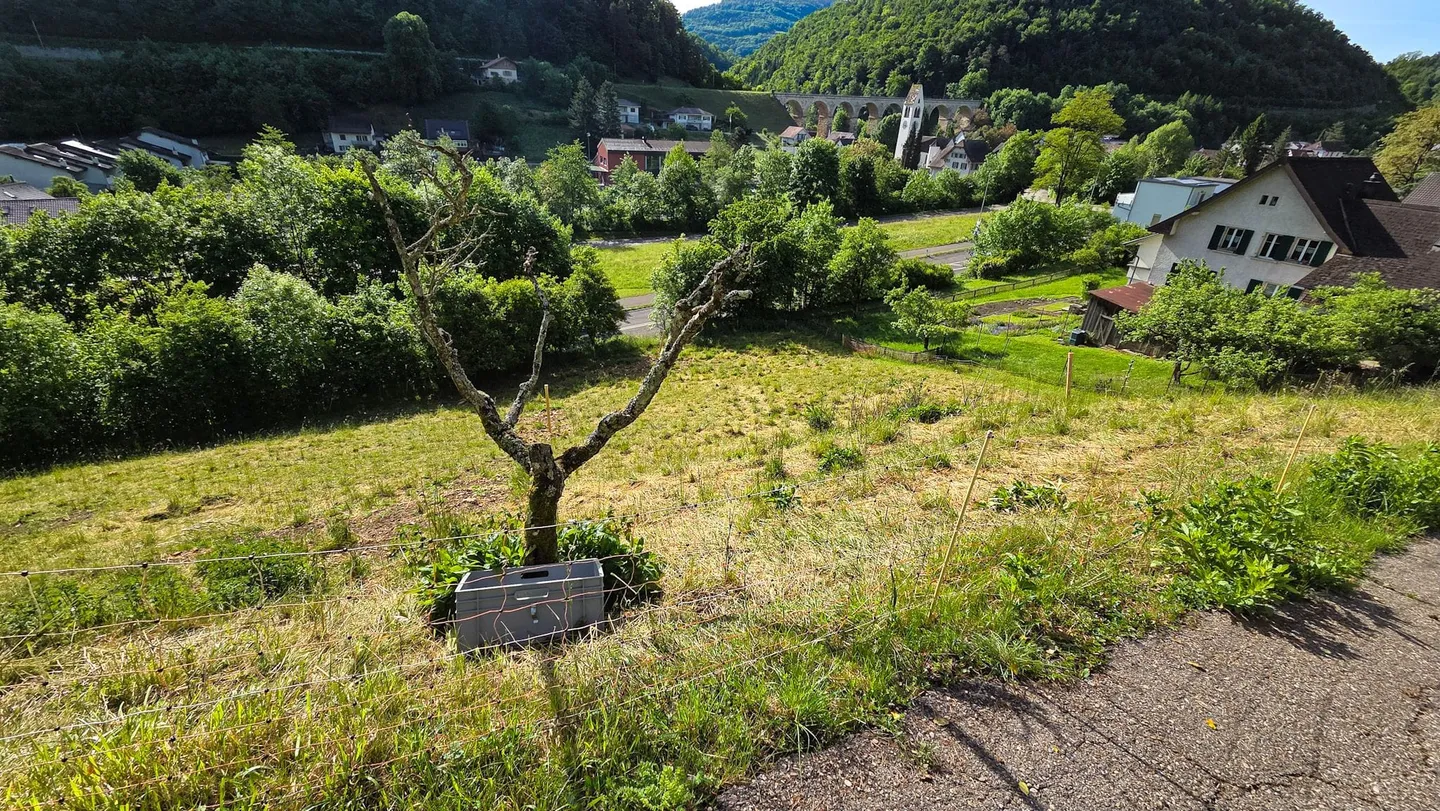 Baugrundstück mit Aussicht - Foto 10 von 11
