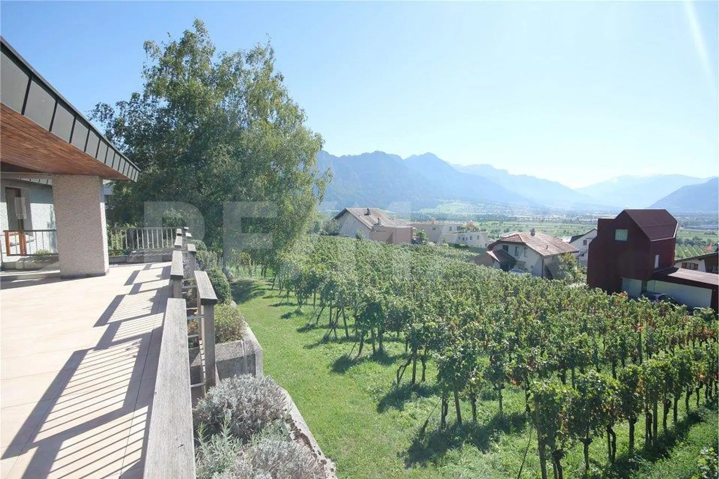 Living in the vineyards of Malans - Majestic single-family home - Photo 11 of 12