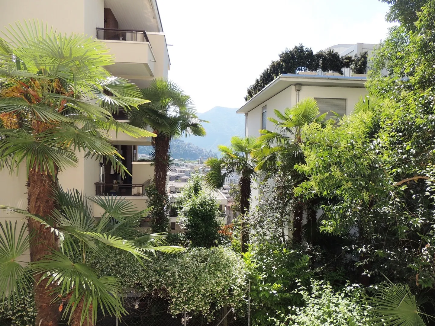 Quiet Apartment in Massagno - Photo 1 of 11