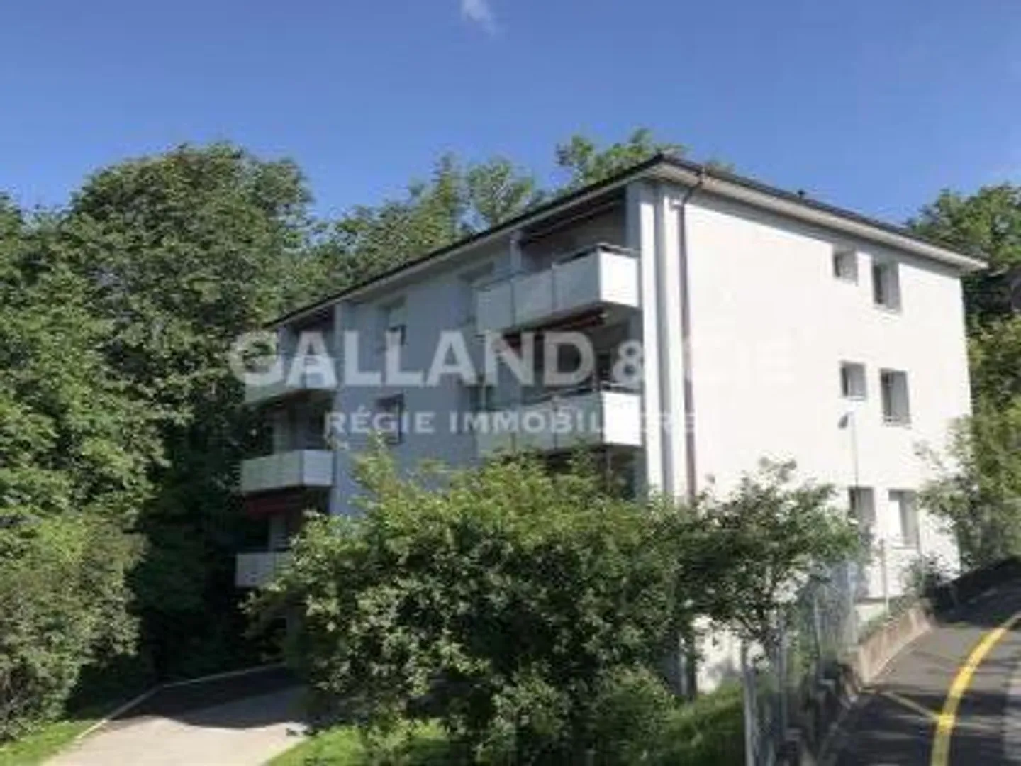 Appartamento di 3,5 locali al 1° piano - Foto 1 di 1