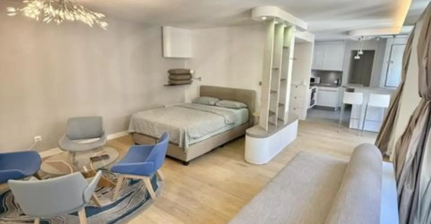 Elegant Apartment in Geneva - Photo 1 of 5